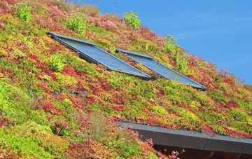 Williton living roof systems